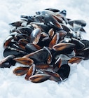 Moules d'Espagne à Intermarché Hyper dans Sand