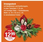 V-Markt Pentling Prospekt mit  im Angebot für 12,99 €