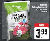 EDEKA Burkhardtsdorf Prospekt mit  im Angebot für 3,99 €