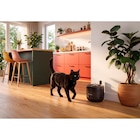 Fontaine à eau automatique Série Pet - PHILIPS - Carrefour Fontaine à eau automatique Série Pet - PHILIPS à 34,99 € dans le catalogue Carrefour