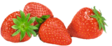 Erdbeeren bei EDEKA im Tutzing Prospekt für 1,49 €