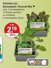 Salanova oder Blumenkohl / Broccoli Mix im Angebot bei V-Markt in Augsburg Salanova oder Blumenkohl / Broccoli Mix Angebote bei V-Markt Augsburg für 2,19 €