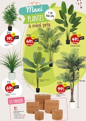 Palmier Angebote im Prospekt "Envie DE JARDIN" von Maxi Bazar auf Seite 16