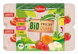 Bio Fruchtquark im Angebot bei Lidl in Bremen Bio Fruchtquark Angebote von Milbona bei Lidl Bremen für 2,49 €