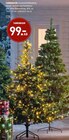 TANNENBAUM im Angebot bei Möbel Wallach in Langenhagen TANNENBAUM Angebote bei Möbel Wallach Langenhagen für 99,00 €