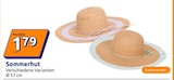 Sommerhut im Angebot bei Action in Mühlhausen Sommerhut Angebote bei Action Mühlhausen für 1,79 €