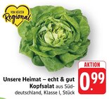 Aktuelle Salat Angebote bei EDEKA in Frankfurt (Main) Aktuelles Kopfsalat Angebot bei EDEKA in Frankfurt (Main) ab 0,99 €