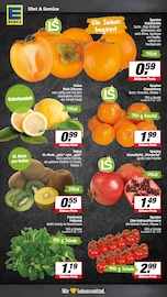 Kiwi im E center Prospekt in Münster Aktueller E center Prospekt mit Kiwi, "Aktuelle Angebote", Seite 3