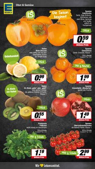 Äpfel im E center Prospekt "Aktuelle Angebote" mit 19 Seiten (Münster)