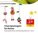 Spielangeln für Katzen Angebote von Trixie bei Das Futterhaus Bocholt für 2,99 €