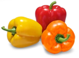 Kaufland Weimar - Dtsch. Paprika Angebot im Prospekt Dtsch. Paprika bei Kaufland im Weimar Prospekt für 2,49 €