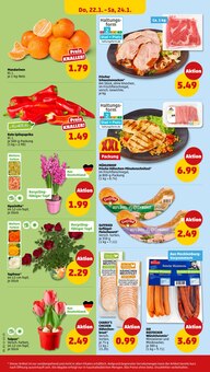 Schweinefleisch im Penny Prospekt "Wer günstig will, muss Penny." mit 40 Seiten (Potsdam)