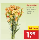 Spraynelken Angebote bei Netto Marken-Discount Garbsen für 1,99 €