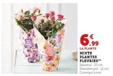 Mixte Plantes Fleuries en promo chez Super U Quimper à 6,99 €