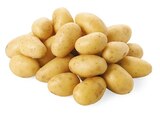 Speisekartoffeln Die Feinen im Angebot bei nahkauf in Wunstorf Speisekartoffeln Die Feinen Angebote von REWE Beste Wahl bei nahkauf Wunstorf für 1,79 €