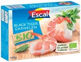 Bio Black Tiger Garnelen oder Tintenfischtuben im Angebot bei REWE in Kassel Bio Black Tiger Garnelen oder Tintenfischtuben Angebote von Escal bei REWE Kassel für 6,49 €