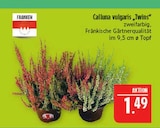 Calluna vulgaris "Twins" Angebote von Franken bei Marktkauf Leipzig für 1,49 €