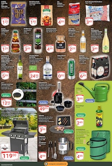 Gin im GLOBUS Prospekt "Aktuelle Angebote" mit 23 Seiten (Saarbrücken)