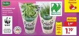 Aktuelle Kräuter Angebote bei Netto Marken-Discount in Duisburg Aktuelles Bio Kräutertopf Angebot bei Netto Marken-Discount in Duisburg ab 1,19 €