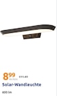 Solar-Wandleuchte Angebote bei Action Pforzheim für 8,99 €