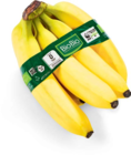 Bio Bananen Angebote von BioBio bei Netto Marken-Discount Pinneberg für 1,69 €