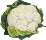 Kohl im V-Markt Prospekt Blumenkohl im aktuellen V-Markt Prospekt für 1,59 €