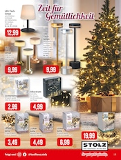 Aktueller Kaufhaus Stolz Prospekt mit Pflanzen, "STOLZ. Das Kaufhaus im Norden.", Seite 5