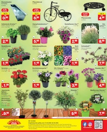 Fahrrad im Zimmermann Prospekt "Aktuelle Angebote" mit 12 Seiten (Hannover)