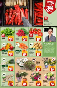 Kartoffeln im aktuellen REWE Prospekt (Kiel) Kartoffeln im REWE Prospekt "Dein Markt" mit 38 Seiten (Kiel)