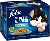 Katzennahrung von Felix für 3,59 € bei REWE im Angebot Katzennahrung von Felix im aktuellen REWE Prospekt