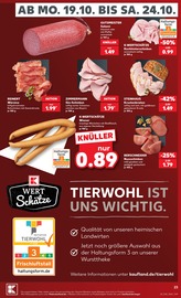 Wurst im Kaufland Prospekt in Borken Aktueller Kaufland Prospekt mit Wurst, "Hier bin ich richtig", Seite 27