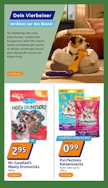Aktueller Action Prospekt mit Katzenfutter, "kleine Preise, grosse Freude!", Seite 19