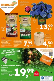 Hortensie im Globus-Baumarkt Prospekt "Immer eine Idee besser" mit 16 Seiten (Augsburg)