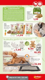 Aktueller Zookauf Prospekt mit Schweineohren, "Alles für tierische Verwöhn-Momente", Seite 5