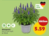 Penny Rheine Prospekt mit  im Angebot für 5,59 €
