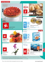 Plante Verte Angebote im Prospekt "Les 7 Jours Auchan" von Auchan Supermarché auf Seite 10