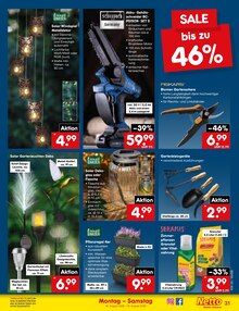 Blumen im Netto Marken-Discount Prospekt "Aktuelle Angebote" mit 63 Seiten (Mannheim)