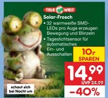 Solar-Frosch im Angebot bei Netto Marken-Discount in Kleve Solar-Frosch Angebote bei Netto Marken-Discount Kleve für 14,99 €
