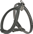 Maxi Zoo Millau - Promo 30 % de remise sur une sélection de laisses, harnais et colliers More Promo 30 % de remise sur une sélection de laisses, harnais et colliers More à dans le catalogue Maxi Zoo à Millau