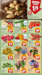 Schnittlauch Angebot & Preis im aktuellen REWE Prospekt Schnittlauch Angebot im aktuellen REWE Prospekt auf Seite 11