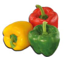 Paprika bei K+K - Klaas & Kock in Rheda-Wiedenbrück Paprika im Angebot bei K+K - Klaas & Kock Rheda-Wiedenbrück für 1,79 €