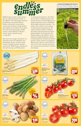 REWE Champignons im Prospekt 