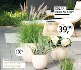 Aktuelle Gartenerde Angebote bei ROSENGUT Langerwisch in Potsdam Aktuelles SOLAR-BODENLAMPE Angebot bei ROSENGUT Langerwisch in Potsdam ab 19,99 €