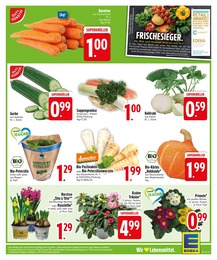 EDEKA Kohlrabi im Prospekt 