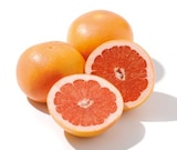 Grapefruit für 0,79 € bei Netto mit dem Scottie im Angebot Grapefruit im aktuellen Netto mit dem Scottie Prospekt