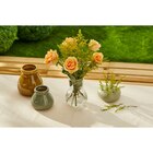 Bouquet Mariposa en promo chez Carrefour Rosny-sous-Bois à 9,99 €