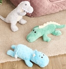 Hundespielzeug Angebote bei Woolworth Homburg für 5,00 €