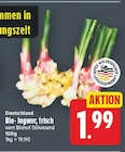 Bio-Ingwer von Biohof Stövesand im aktuellen E center Prospekt