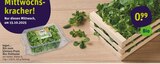 Bio-Feldsalat Angebote von tegut... bei tegut Würzburg für 0,99 €