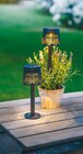 2-in-1 Solar-Lampe Angebote bei Netto mit dem Scottie Freiberg für 4,99 €